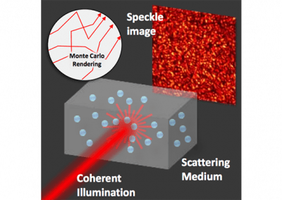 A Monte Carlo Framework for Rendering Speckle Statistics in Scattering Media